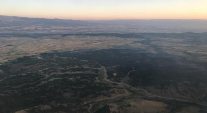 55 hektarlık alan zarar gördü