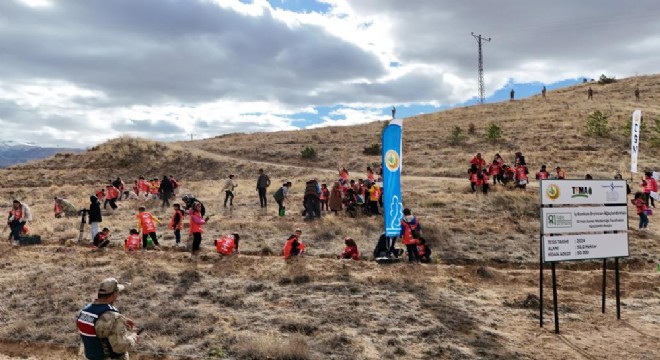 ‘81 İlde 81 Orman'