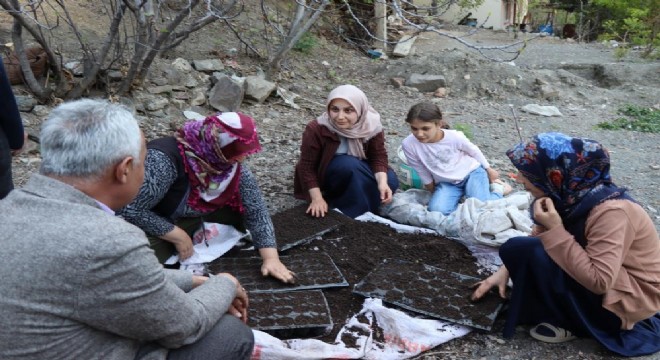 Ayvalı'da Kadın çiftçilerden örnek girişim