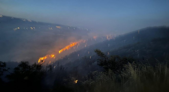 Bingöl'de orman yangını