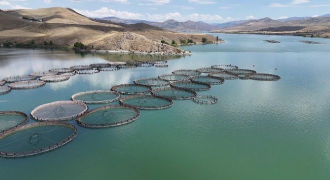 Çiftçinin yüzü güldü