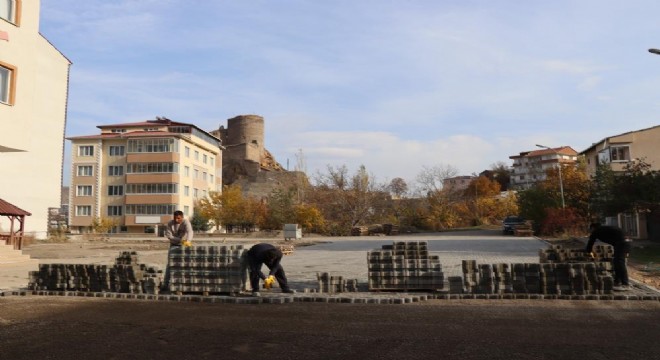 Daha yaşanabilir bir Oltu seferberliği