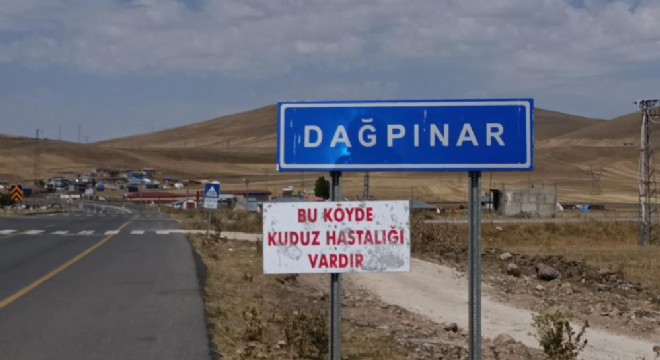 Digor'da kuduz vakası: Bir belde karantinaya alındı