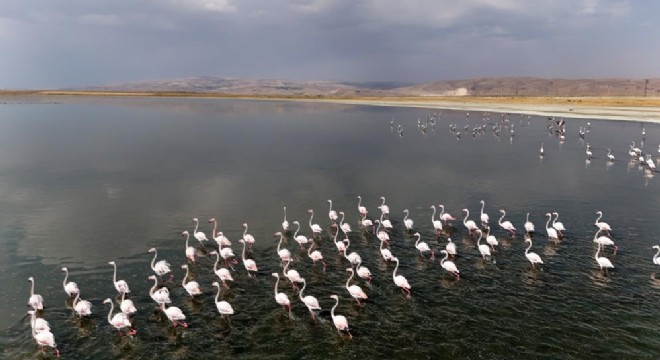 Doğu Anadolu Doğa Harikaları - 27 - Van Gölü