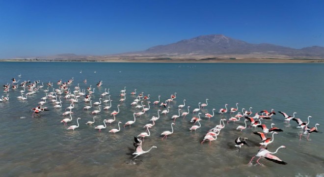 Doğu Anadolu Doğa Harikaları – 23 – Arin Gölü