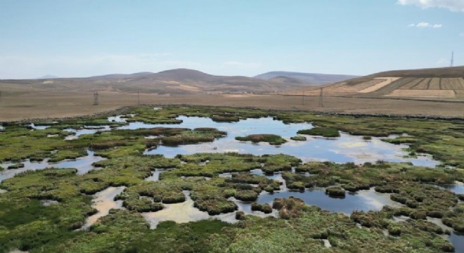 Doğu Anadolu'da kuraklık!