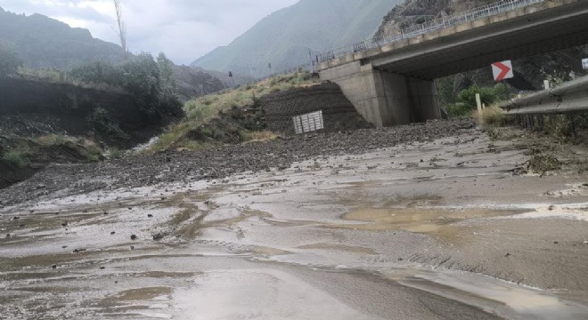 Erzurum-Artvin karayolunda heyelan