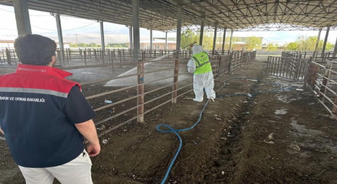 Iğdır hayvan pazarı tekrar kapatıldı