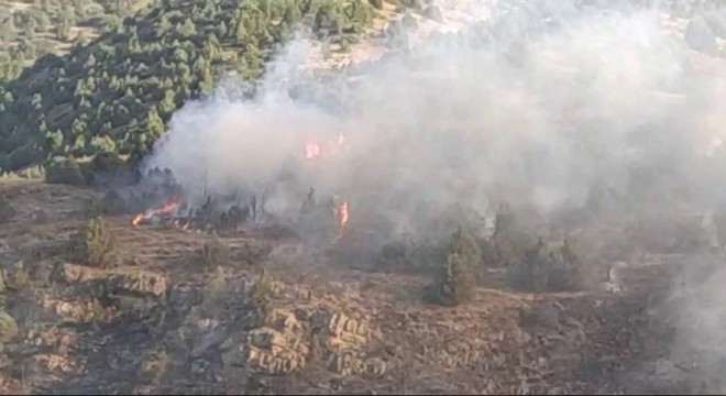 İspir'de orman yangını