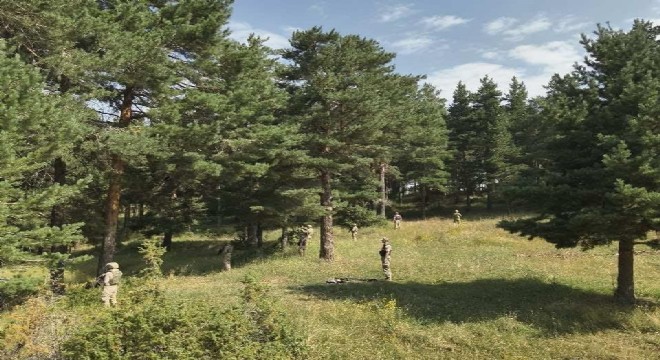 Jandarma orman ve mesire alanlarını denetledi