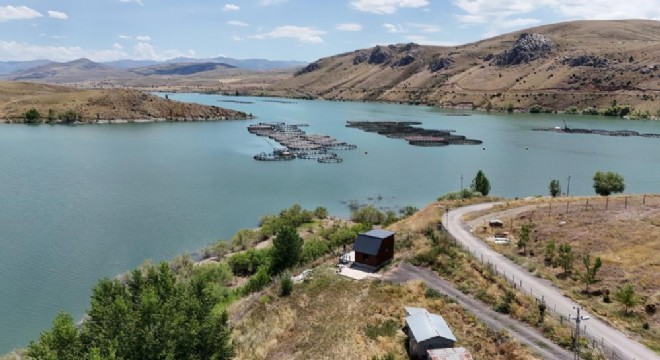 Karasu'nun debisi arttı