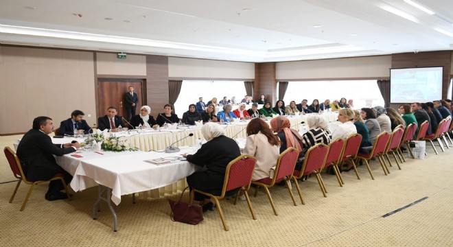 MEB'de Olgunlaştırma Enstitüleri gündemi