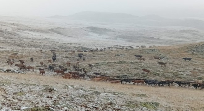 Oltu Yaylalarına kar düştü