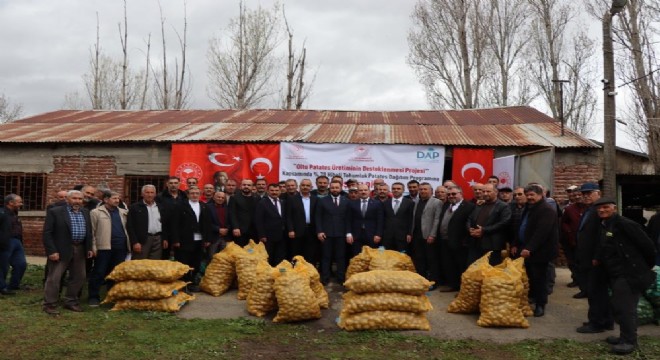 Oltu'da Çiftçilere patates tohumu hibesi