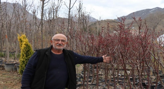 Ömrünü fidan üretimine adadı