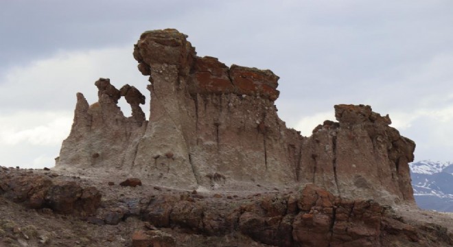 ‘Süslünün Kaşı' ilgi odağı oldu