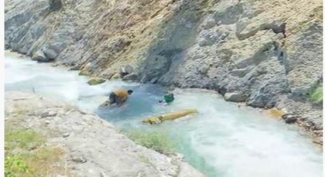 Suya atlayarak 3 kişiyi kurtardı