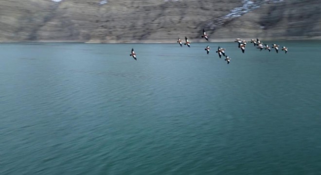 Tortum Gölünü mesken tuttular