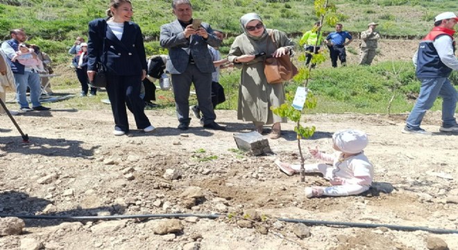 Tortum'da Yeni Doğan Bebekler Hatıra Ormanı